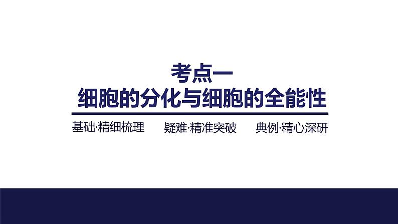 2024届苏教版高中生物一轮复习细胞的分化、衰老和死亡课件第4页