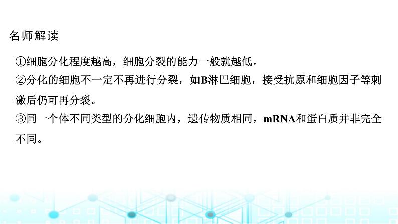 2024届苏教版高中生物一轮复习细胞的分化、衰老和死亡课件第6页