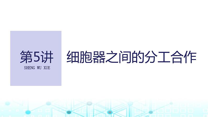 2024届苏教版高中生物一轮复习细胞器之间的分工合作课件第1页