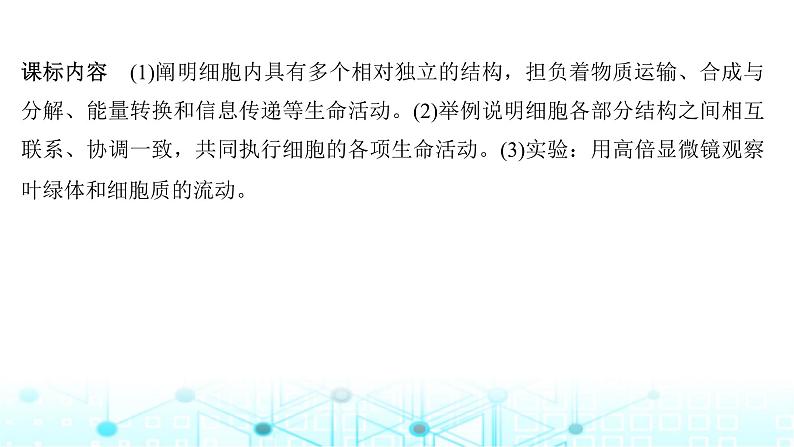 2024届苏教版高中生物一轮复习细胞器之间的分工合作课件第2页