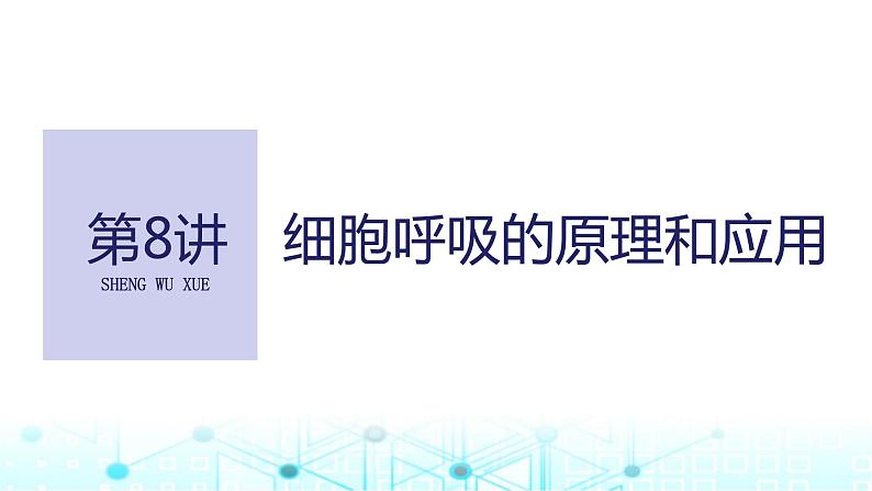 2024届苏教版高中生物一轮复习细胞呼吸的原理和应用课件第1页