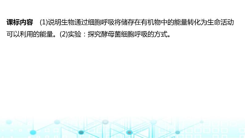 2024届苏教版高中生物一轮复习细胞呼吸的原理和应用课件第2页