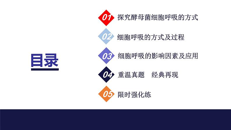 2024届苏教版高中生物一轮复习细胞呼吸的原理和应用课件第3页