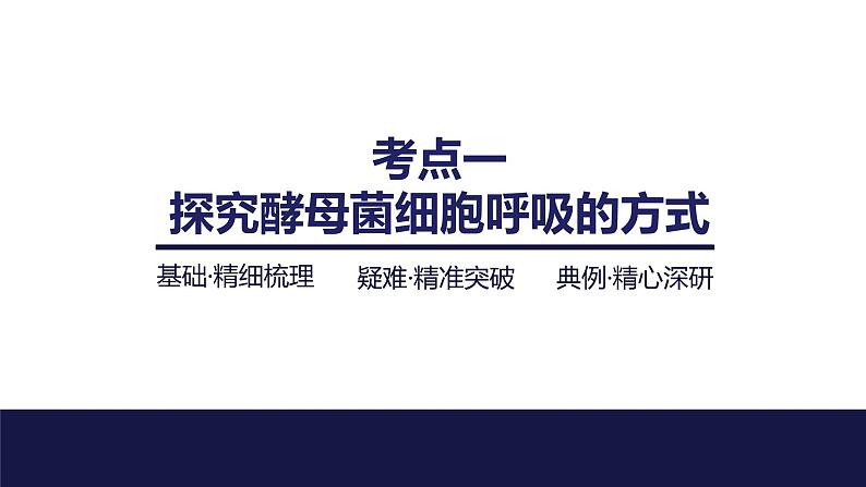 2024届苏教版高中生物一轮复习细胞呼吸的原理和应用课件第4页