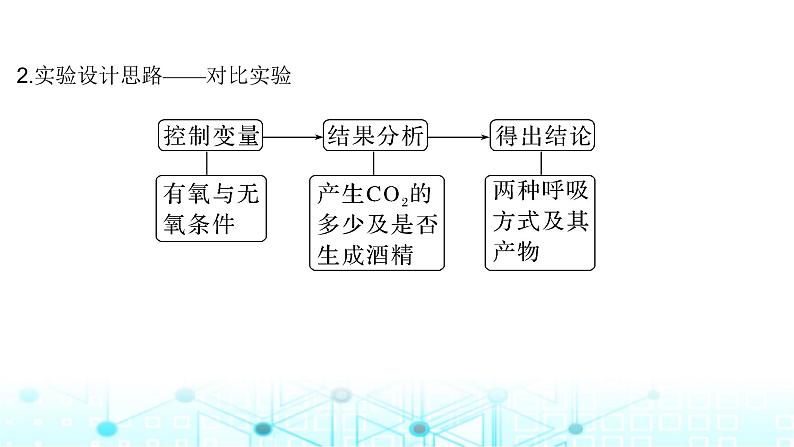 2024届苏教版高中生物一轮复习细胞呼吸的原理和应用课件第6页