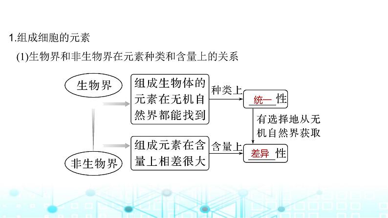 2024届苏教版高中生物一轮复习细胞中的无机物、糖类和脂质课件第5页