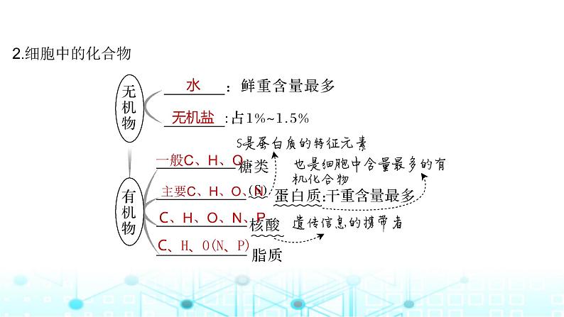 2024届苏教版高中生物一轮复习细胞中的无机物、糖类和脂质课件第8页