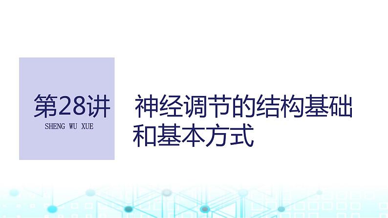 2024届苏教版高中生物一轮复习神经调节的结构基础和基本方式课件01