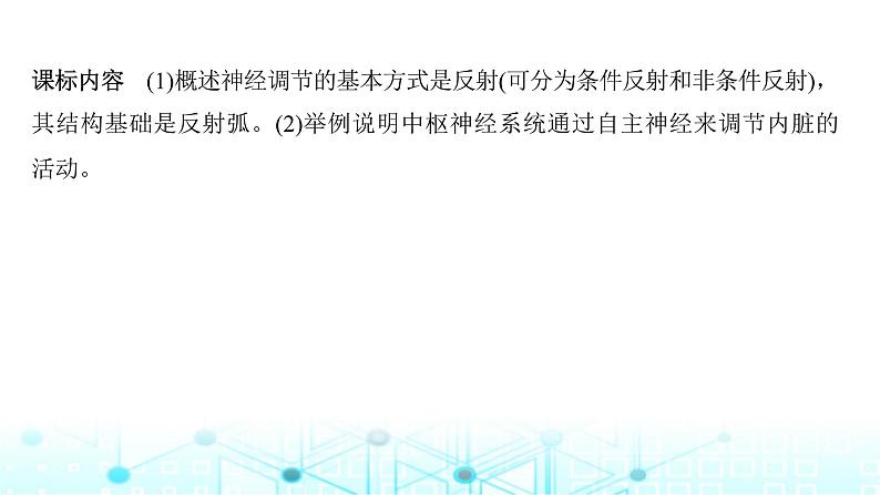 2024届苏教版高中生物一轮复习神经调节的结构基础和基本方式课件02