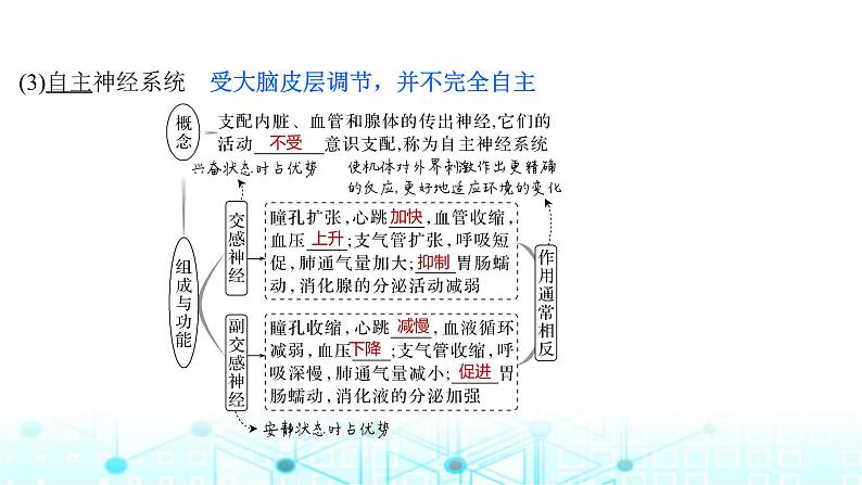 2024届苏教版高中生物一轮复习神经调节的结构基础和基本方式课件07