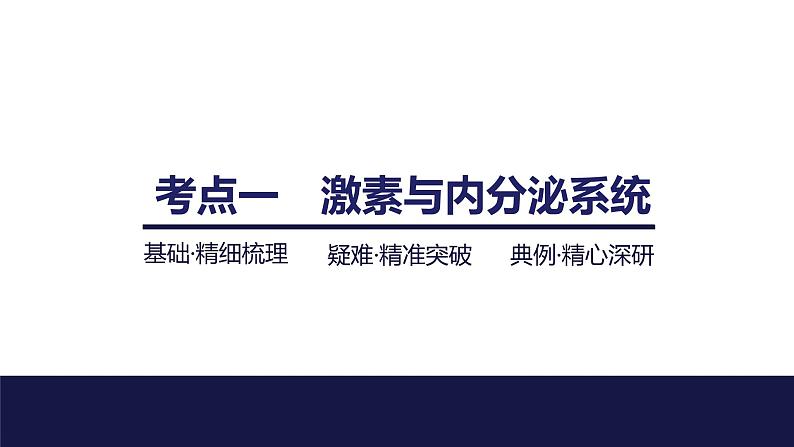 2024届苏教版高中生物一轮复习激素调节的过程课件04