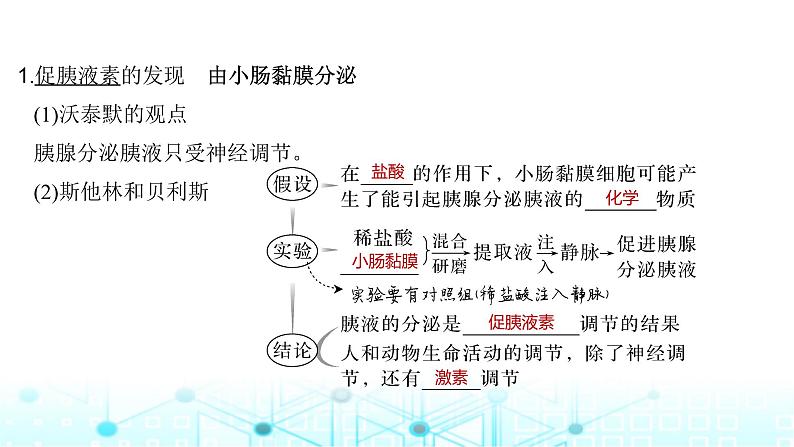 2024届苏教版高中生物一轮复习激素调节的过程课件05