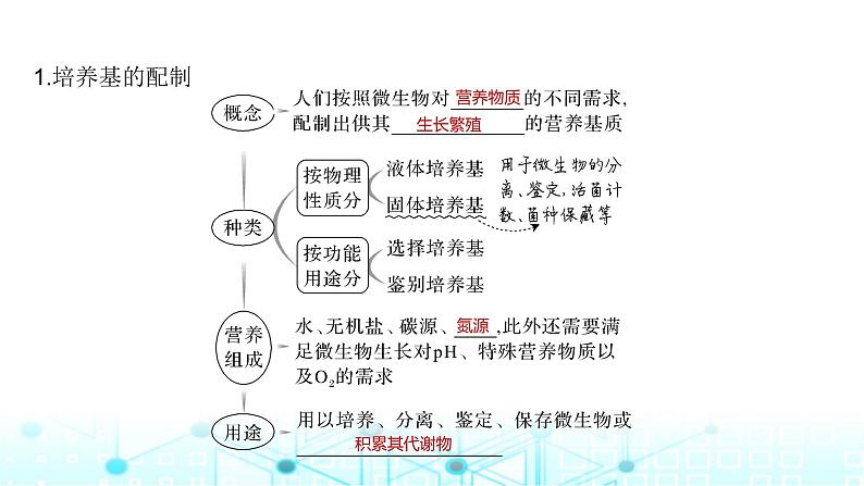 2024届苏教版高中生物一轮复习微生物的培养技术及应用课件第5页