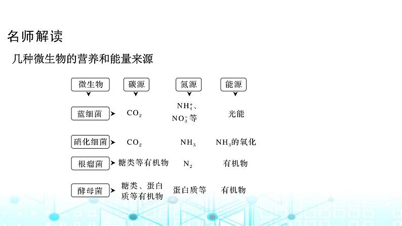 2024届苏教版高中生物一轮复习微生物的培养技术及应用课件第6页