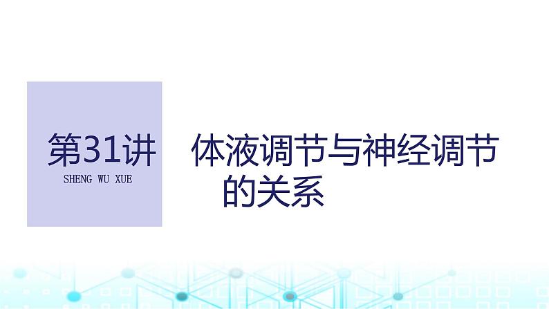 2024届苏教版高中生物一轮复习体液调节与神经调节的关系课件第1页