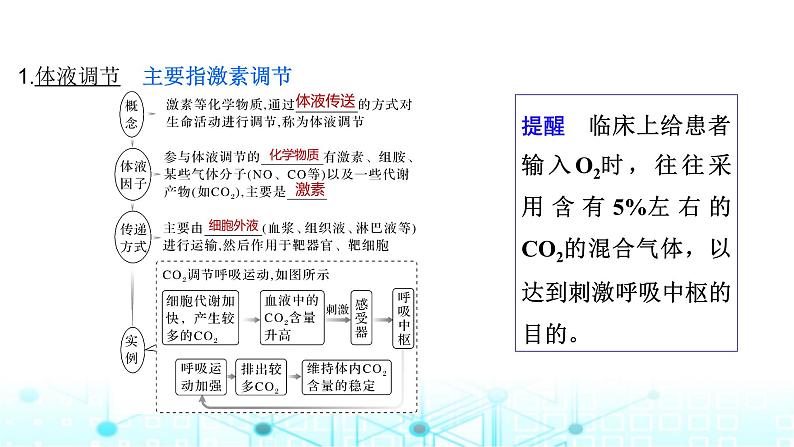 2024届苏教版高中生物一轮复习体液调节与神经调节的关系课件第5页