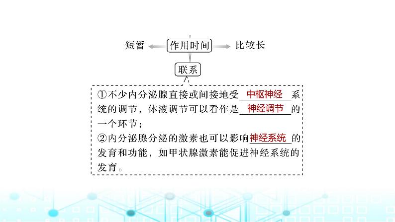 2024届苏教版高中生物一轮复习体液调节与神经调节的关系课件第7页