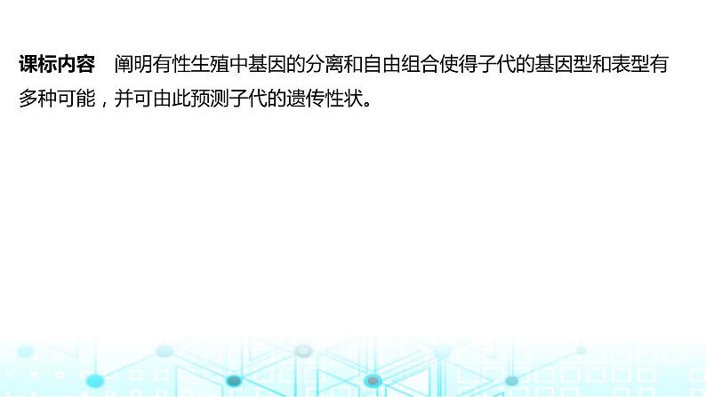 2024届苏教版高中生物一轮复习基因的自由组合定律课件第2页