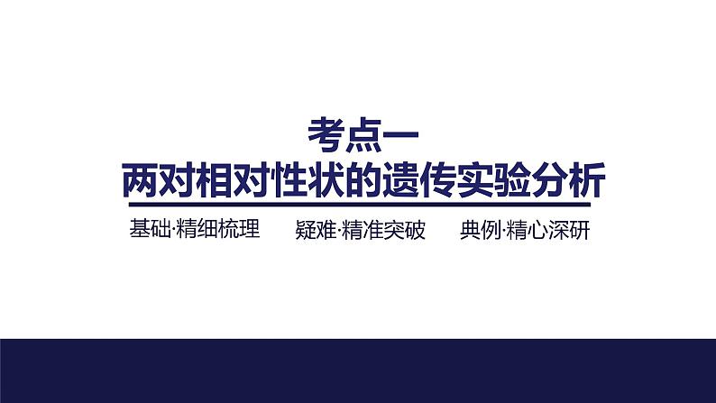 2024届苏教版高中生物一轮复习基因的自由组合定律课件第4页