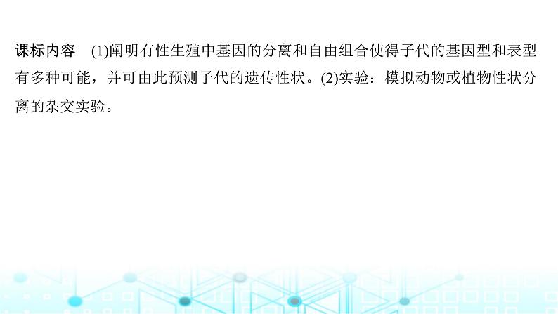 2024届苏教版高中生物一轮复习基因的分离定律课件第2页