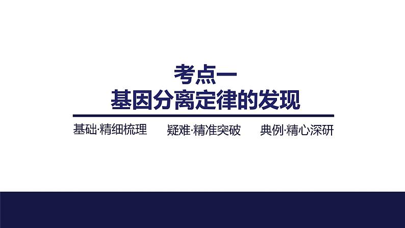 2024届苏教版高中生物一轮复习基因的分离定律课件第4页