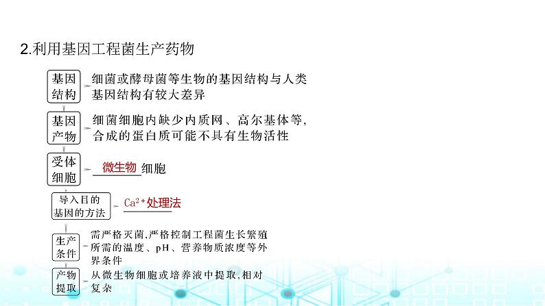 2024届苏教版高中生物一轮复习基因工程的应用、蛋白质工程及生物技术的安全性和伦理问题课件第7页