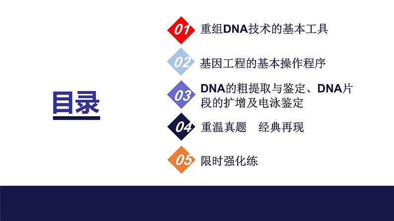2024届苏教版高中生物一轮复习基因工程的基本工具和基本操作程序课件03
