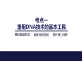2024届苏教版高中生物一轮复习基因工程的基本工具和基本操作程序课件