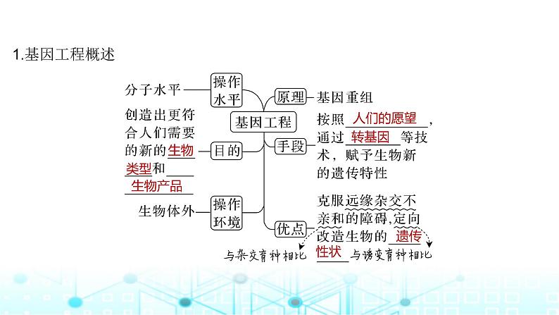 2024届苏教版高中生物一轮复习基因工程的基本工具和基本操作程序课件05
