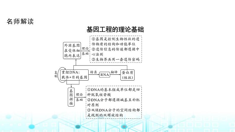 2024届苏教版高中生物一轮复习基因工程的基本工具和基本操作程序课件06