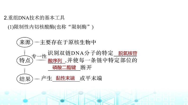 2024届苏教版高中生物一轮复习基因工程的基本工具和基本操作程序课件07
