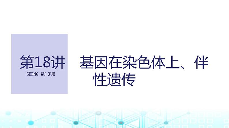 2024届苏教版高中生物一轮复习基因在染色体上、伴性遗传课件第1页