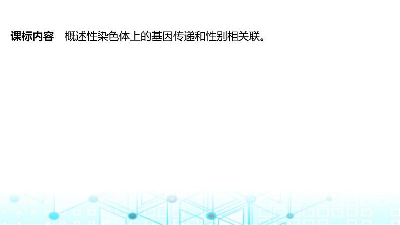 2024届苏教版高中生物一轮复习基因在染色体上、伴性遗传课件第2页