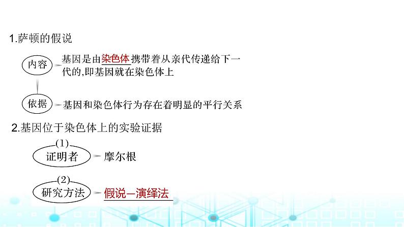 2024届苏教版高中生物一轮复习基因在染色体上、伴性遗传课件第5页