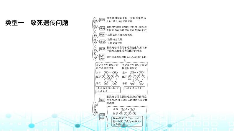 2024届苏教版高中生物一轮复习分离定律遗传特例全扫描课件第3页