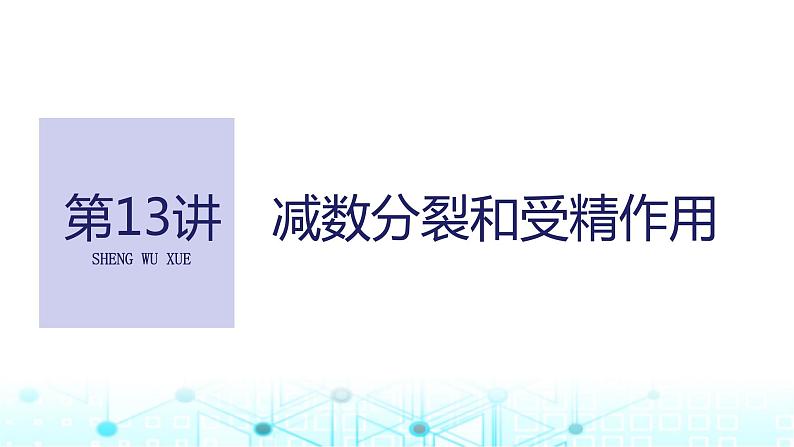 2024届苏教版高中生物一轮复习减数分裂和受精作用课件01