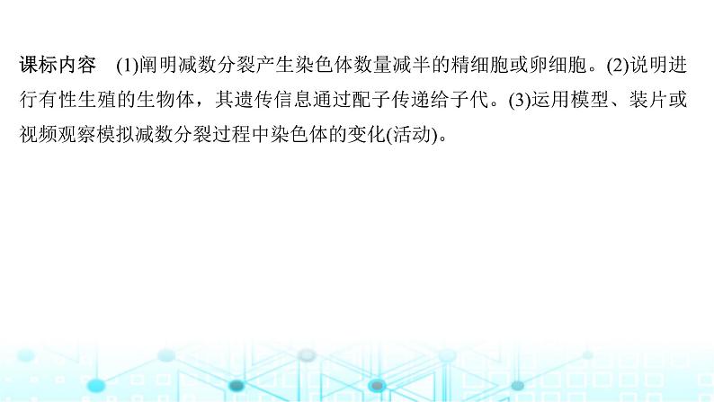 2024届苏教版高中生物一轮复习减数分裂和受精作用课件02