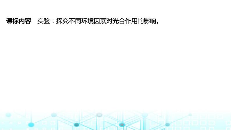 2024届苏教版高中生物一轮复习光合作用的影响因素及其应用课件02