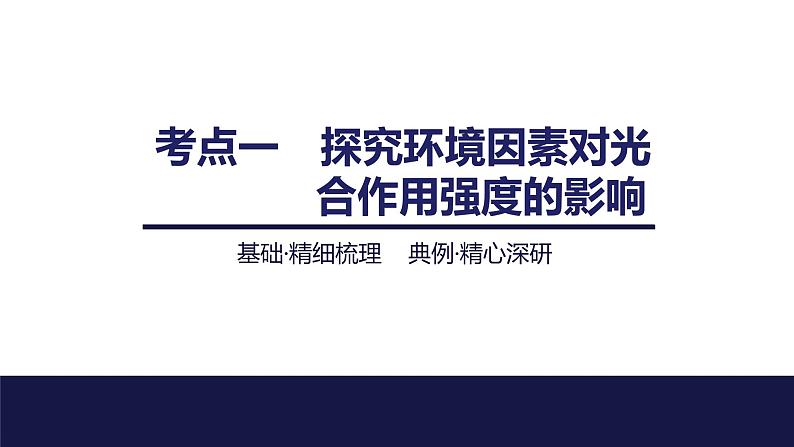 2024届苏教版高中生物一轮复习光合作用的影响因素及其应用课件04