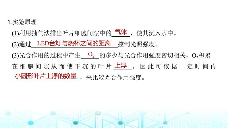 2024届苏教版高中生物一轮复习光合作用的影响因素及其应用课件05