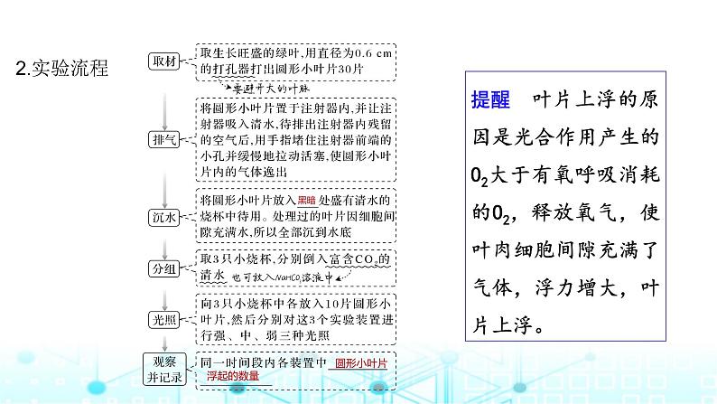 2024届苏教版高中生物一轮复习光合作用的影响因素及其应用课件06