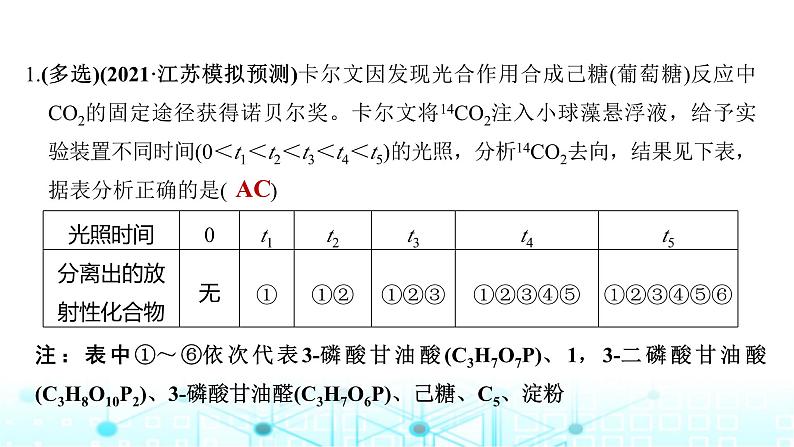 2024届苏教版高中生物一轮复习光合作用的影响因素及其应用课件08