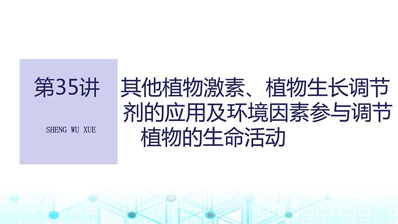 2024届苏教版高中生物一轮复习其他植物激素、植物生长调节剂的应用及环境因素参与调节植物的生命活动课件01