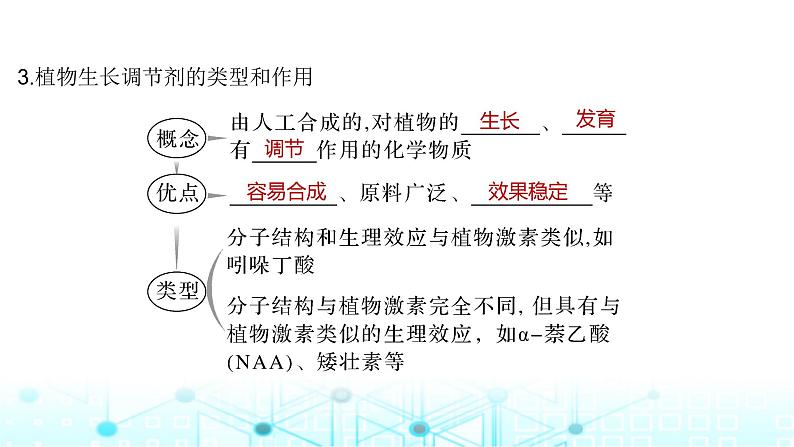 2024届苏教版高中生物一轮复习其他植物激素、植物生长调节剂的应用及环境因素参与调节植物的生命活动课件07