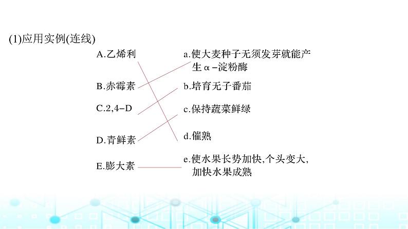 2024届苏教版高中生物一轮复习其他植物激素、植物生长调节剂的应用及环境因素参与调节植物的生命活动课件08