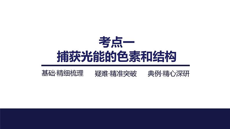 2024届苏教版高中生物一轮复习光合作用的原理课件04