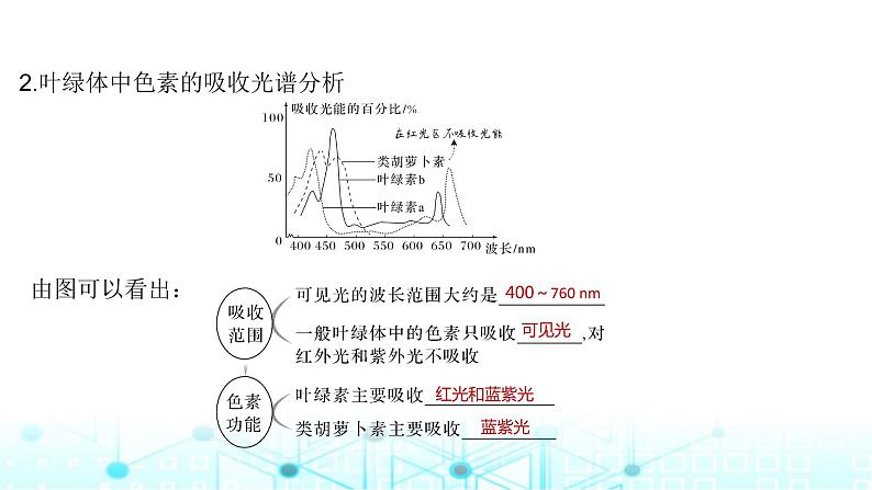 2024届苏教版高中生物一轮复习光合作用的原理课件08