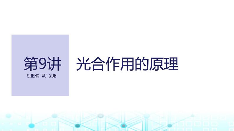 2024届苏教版高中生物一轮复习光合作用的原理课件01