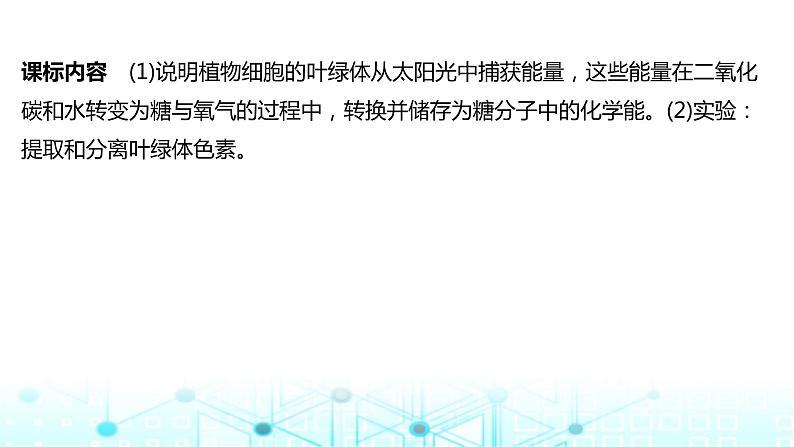 2024届苏教版高中生物一轮复习光合作用的原理课件02