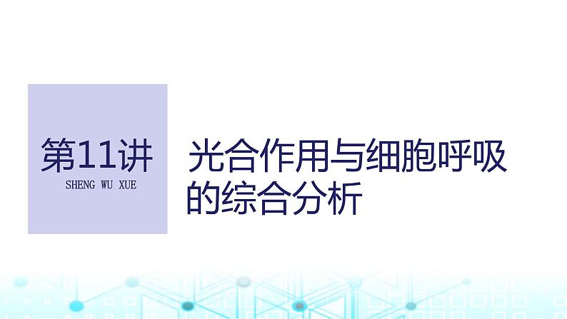 2024届苏教版高中生物一轮复习光合作用与细胞呼吸的综合分析课件01